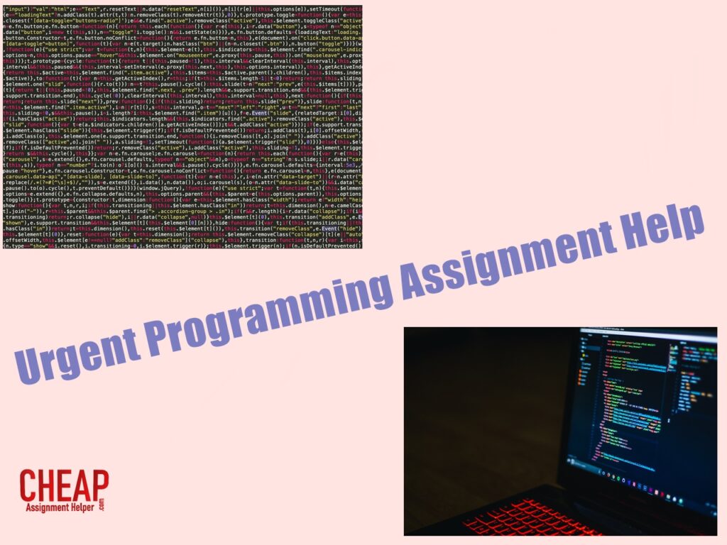 Urgent programming assignment help